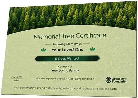 Plant Trees in Memory of Joseph Gregory Meeks